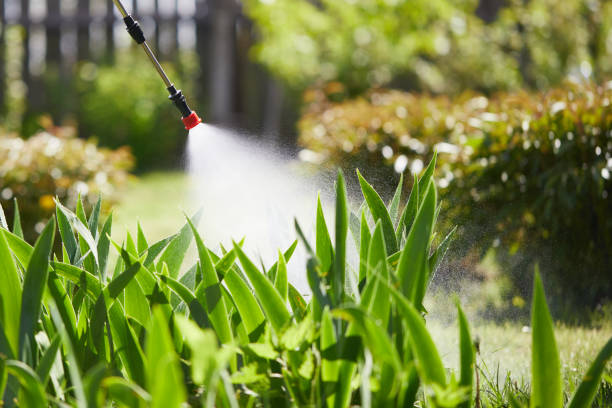 24/7 Emergency Mosquito Control experts in Tumwater, WA