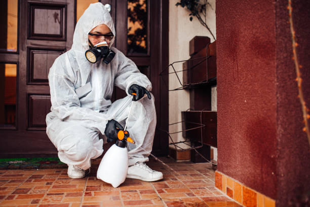 Reliable Mosquito Control contractor in Tumwater, WA by Show Me Pest Control