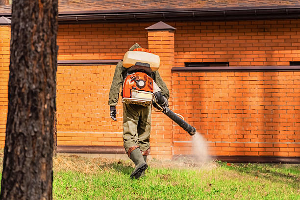 Top rated local Mosquito Control specialists in Tumwater, WA